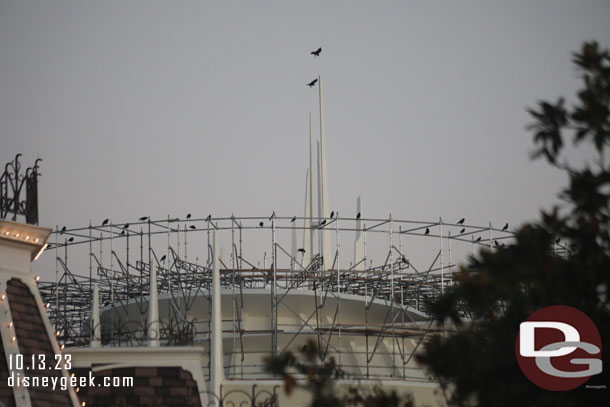 The birds like the Space Mountain scaffolding