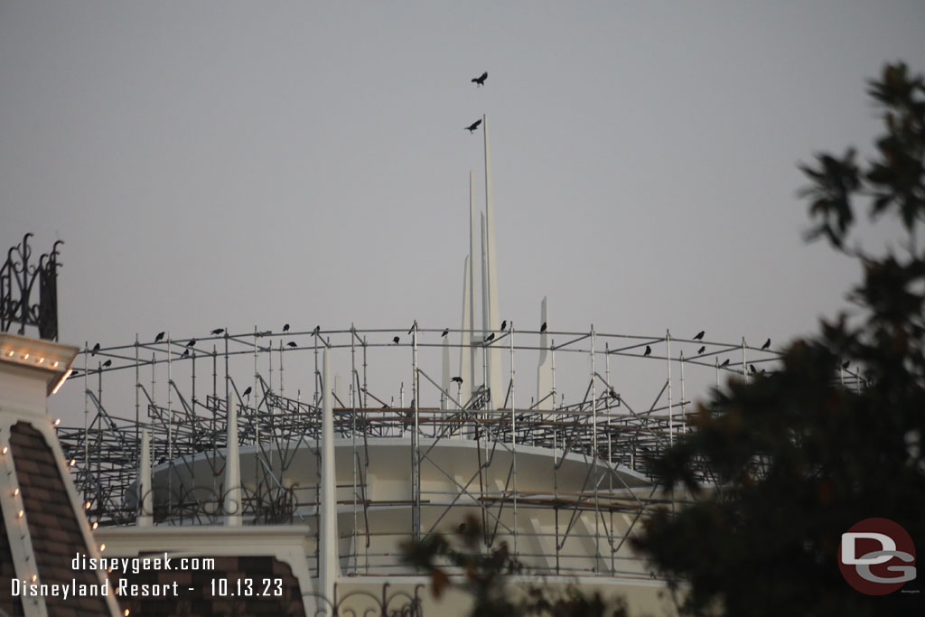 The birds like the Space Mountain scaffolding