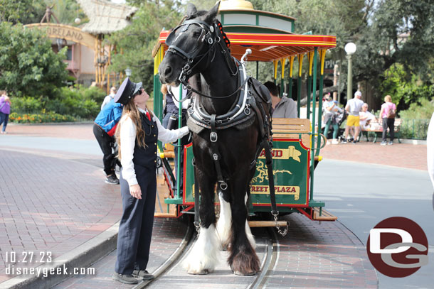 A horse posing for pictures while guests load for a trip to Town Square