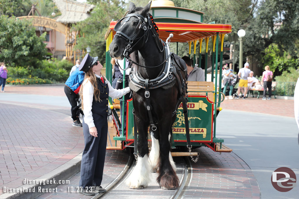 A horse posing for pictures while guests load for a trip to Town Square