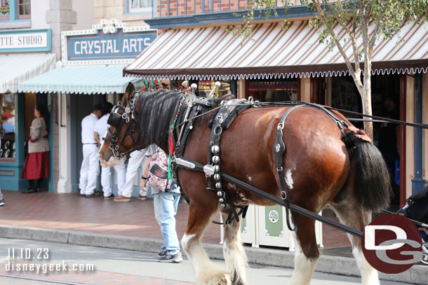 Always fun to hear the jingle bells of the horses on Main Street USA