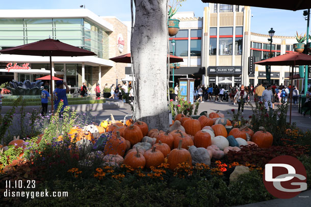 Halloween decorations are still out