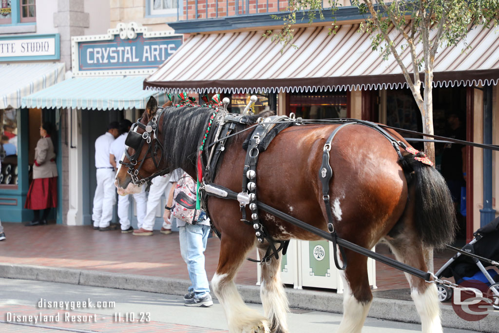 Always fun to hear the jingle bells of the horses on Main Street USA