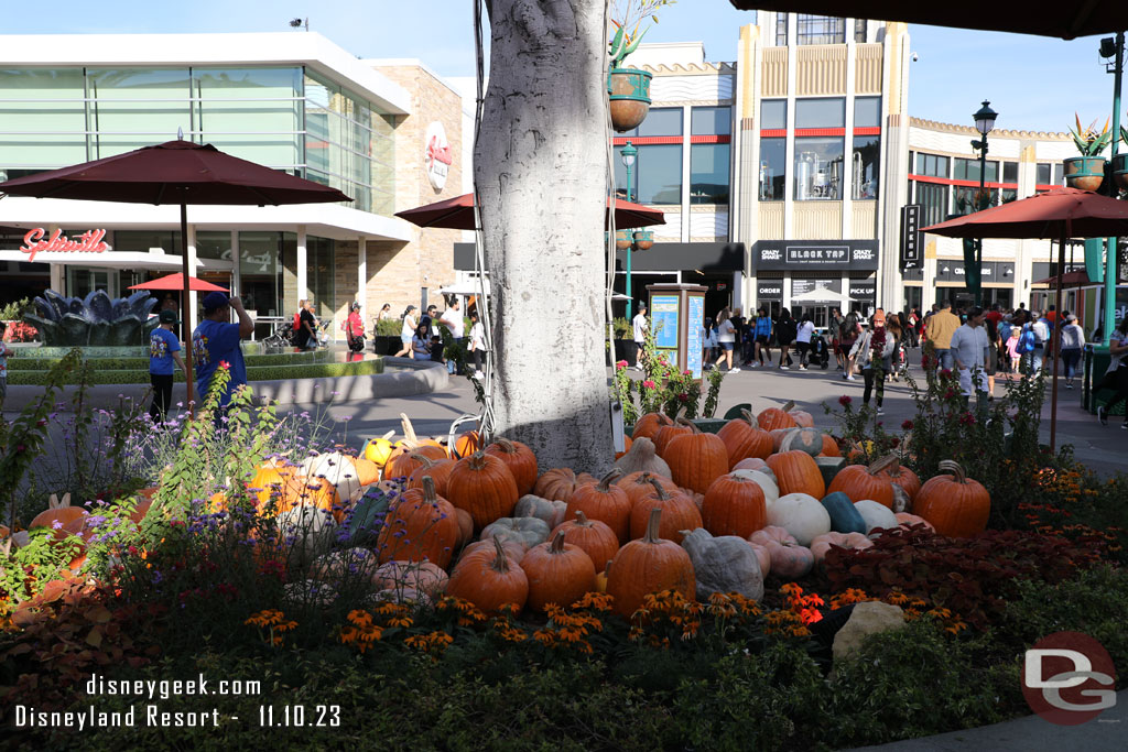 Halloween decorations are still out