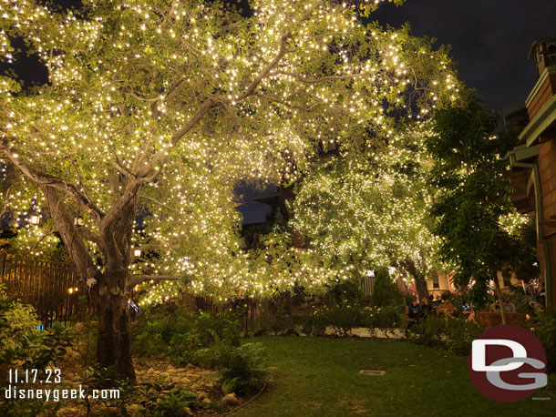 The Grand Californian Hotel trees lit up this evening