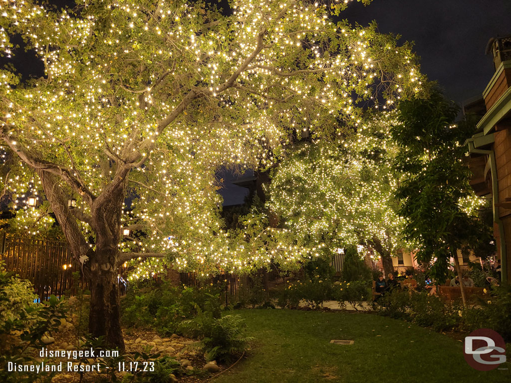 The Grand Californian Hotel trees lit up this evening