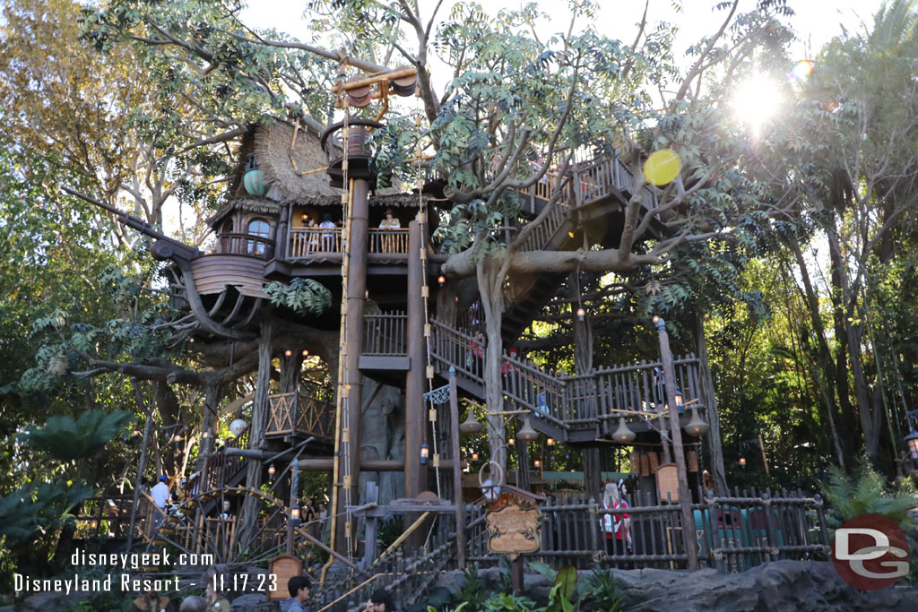 No wait for the treehouse today