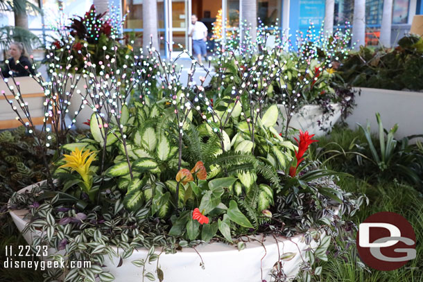 Lights in the planters