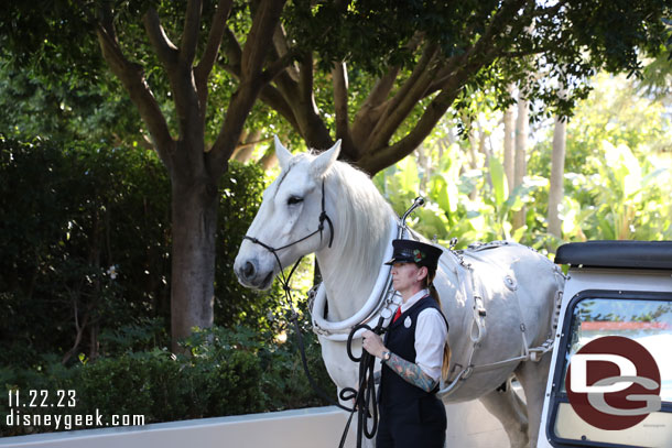 Cast members were doing a walk through for an upcoming event with a horse this morning, assuming it is for a wedding.