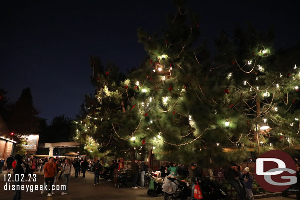 Only one tree was not lit this evening in  Grizzly Recreation area.