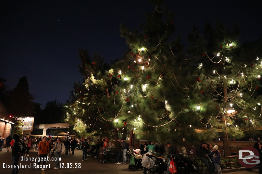 Only one tree was not lit this evening in  Grizzly Recreation area.