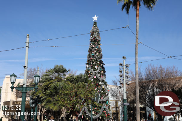 The Buena Vista Street Tree