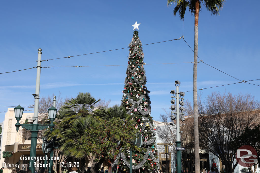 The Buena Vista Street Tree