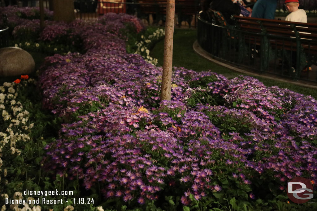 Town Square flowers