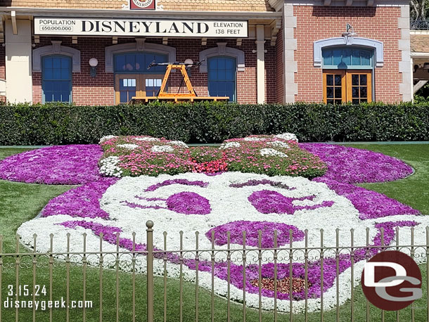 Minnie Mouse Floral greets you at Disneyland this month