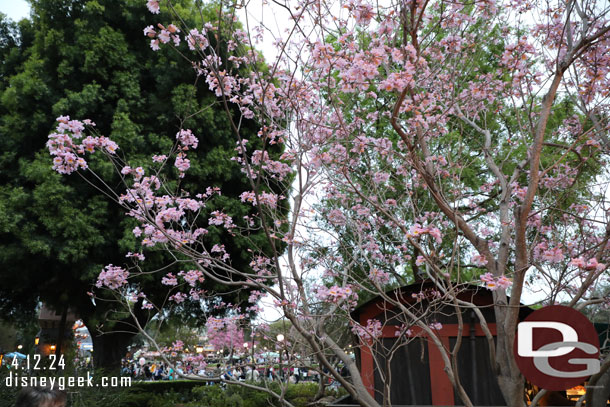 The trees and flowers are ready for spring even though the weather was not.