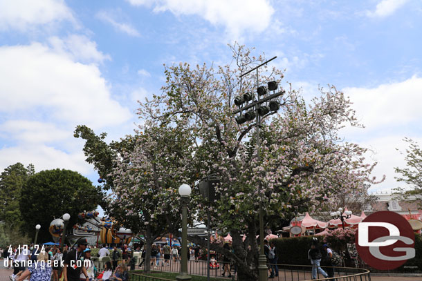 Trees are in bloom around the park.