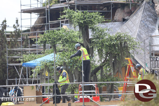 A team working on one of the trees