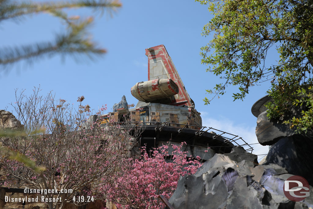 Some of the trees in bloom on Batuu