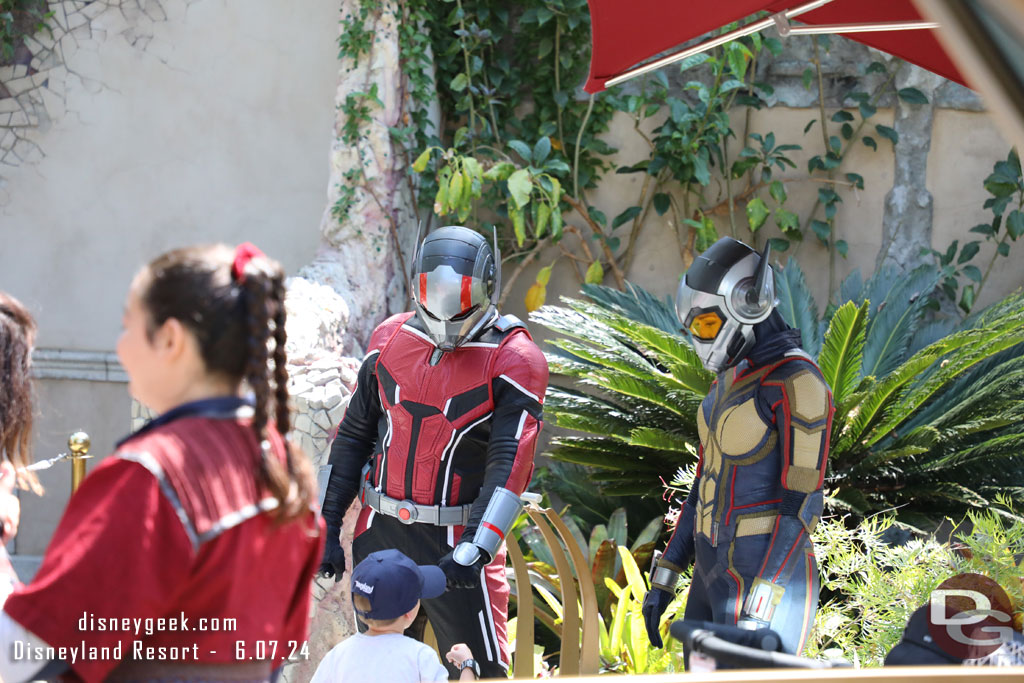 Antman and the Wasp greeting guests