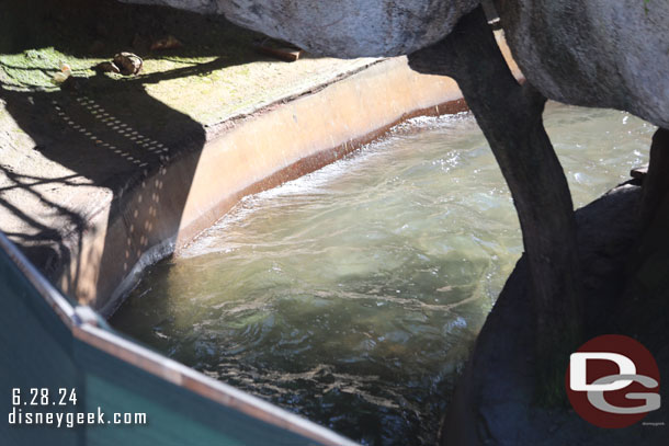 Water in the flume at Tiana's