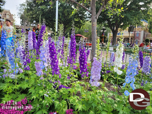 Town Square in bloom