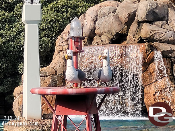 Two of Three seagulls in the sub lagoon this afternoon