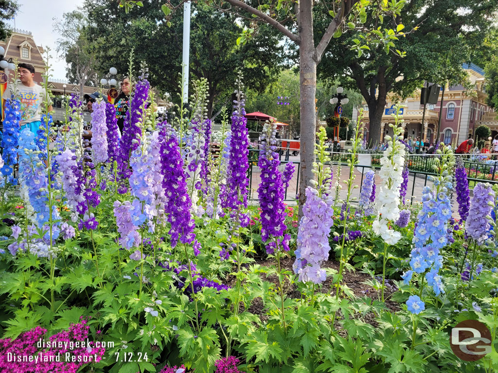 Town Square in bloom