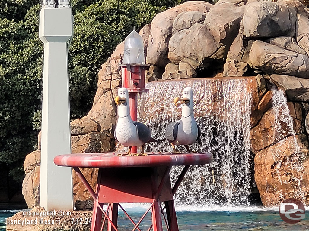 Two of Three seagulls in the sub lagoon this afternoon