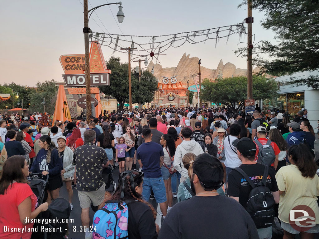 A crowd has gathered for the lighting moment