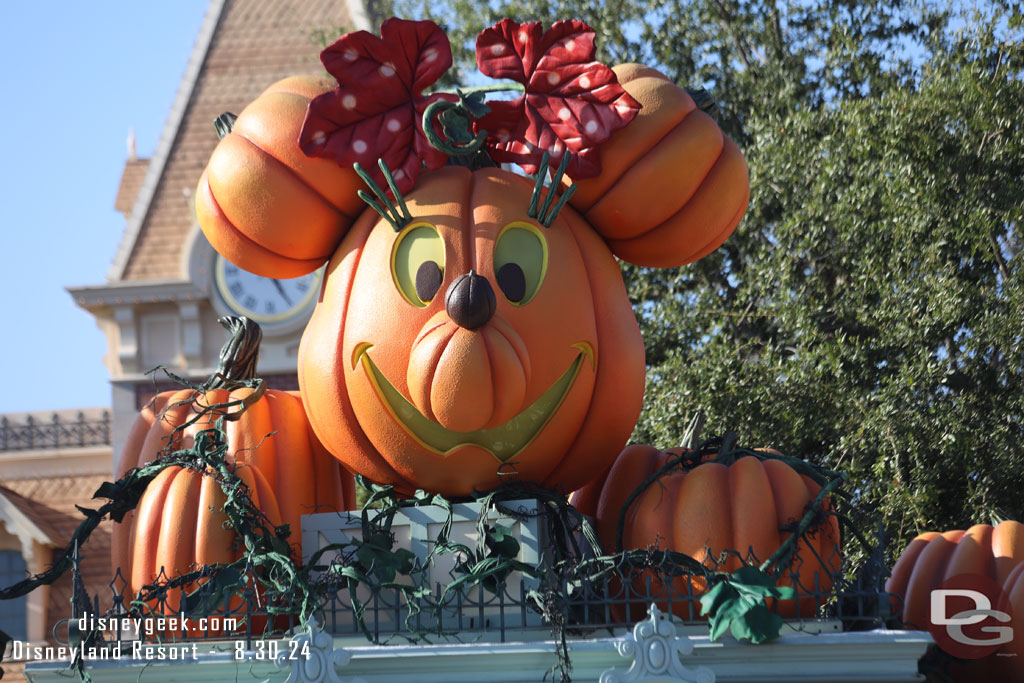 Looking back at the Disneyland decorations