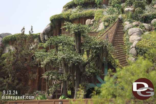 The scaffolding is all removed from this side of Tiana's Bayou Adventure