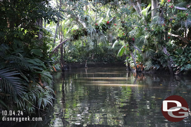 10:01am - Setting out into the Jungle, just over 40 min wait.