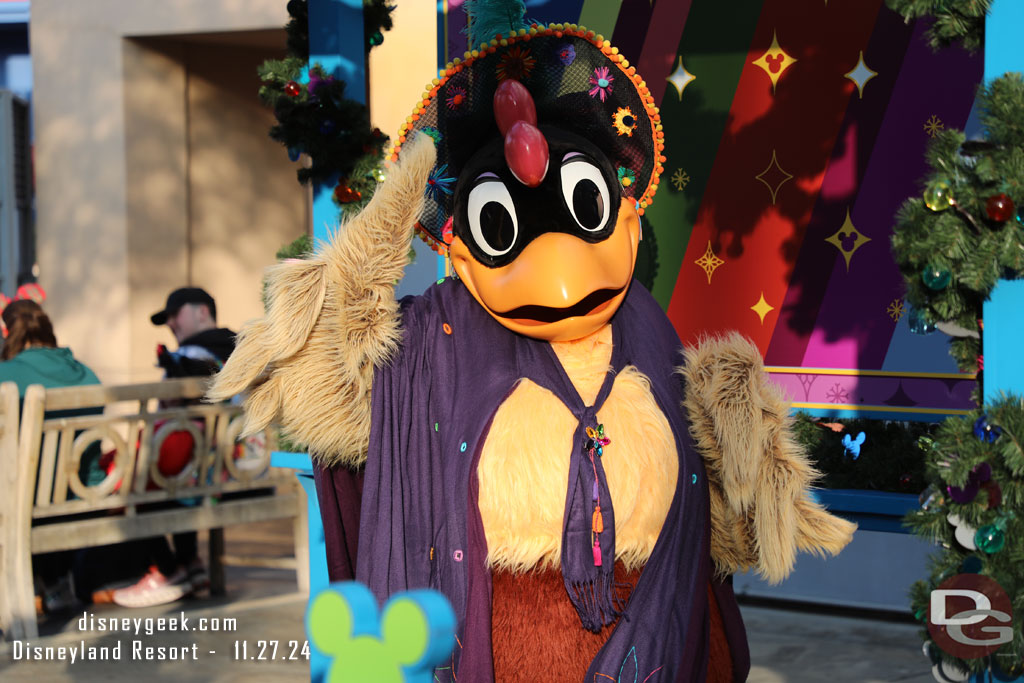 Clara Cluck