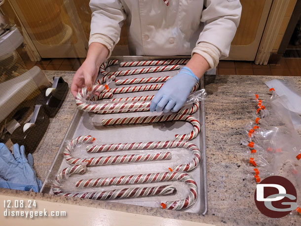 A cast member wrapping them.