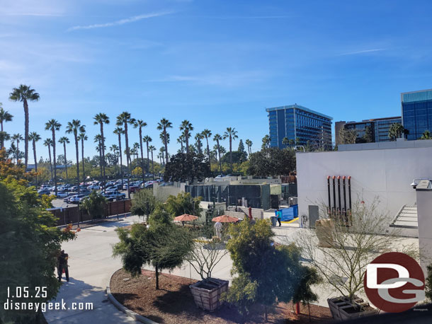 Looks like more trees staged to be installed in Downtown Disney