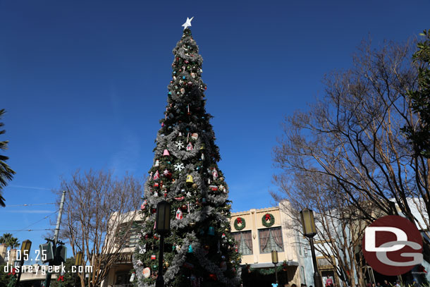 Buena Vista Street Tree