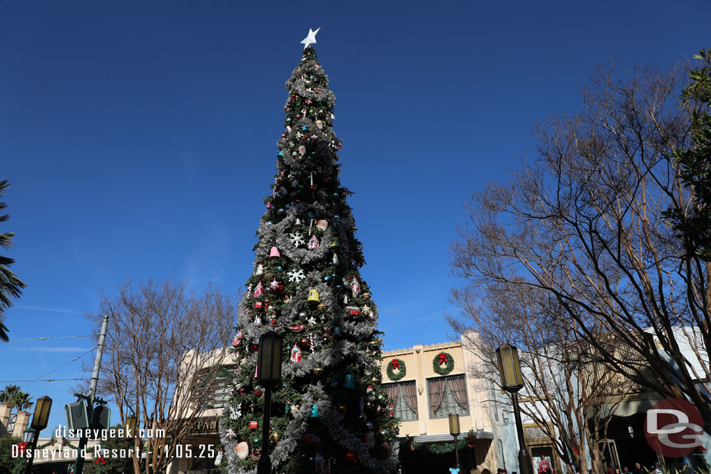 Buena Vista Street Tree