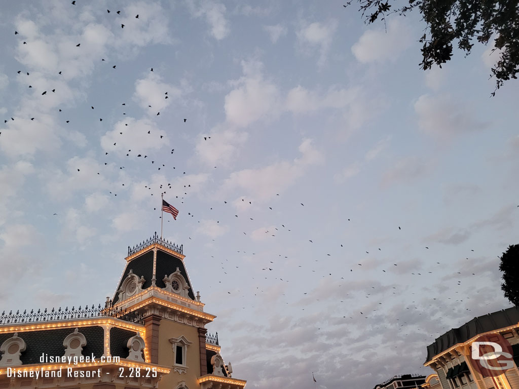 The evening birds were circling.