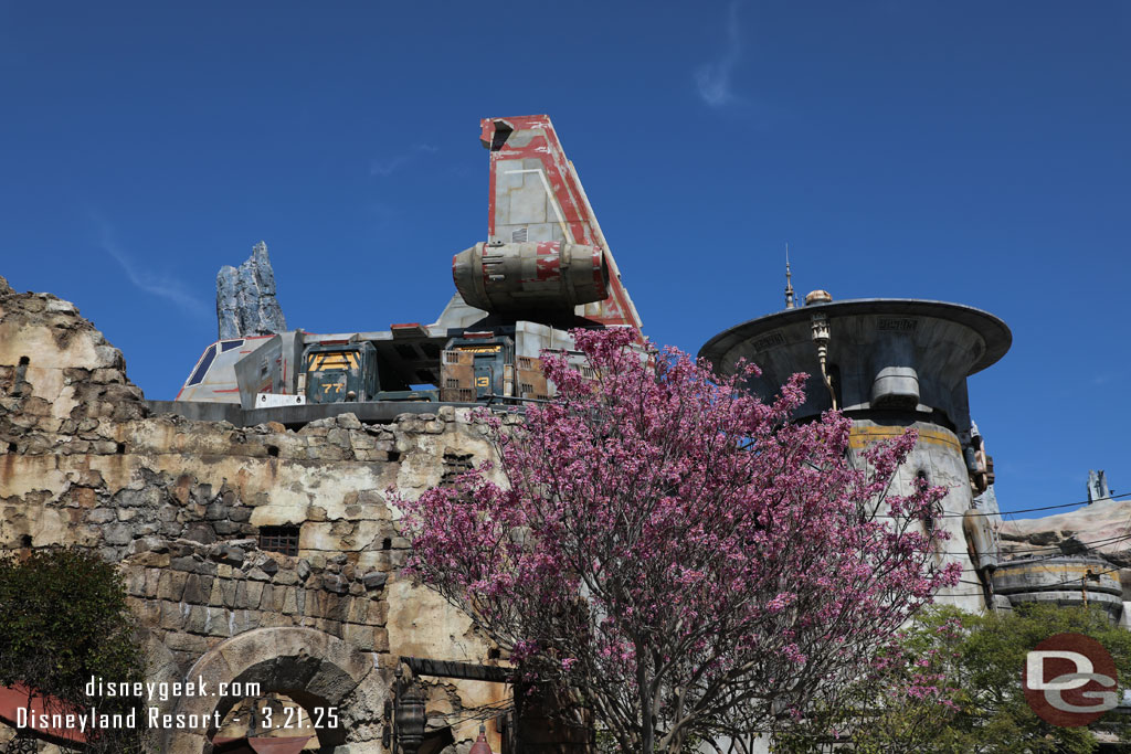 Spring Blooms on Batuu