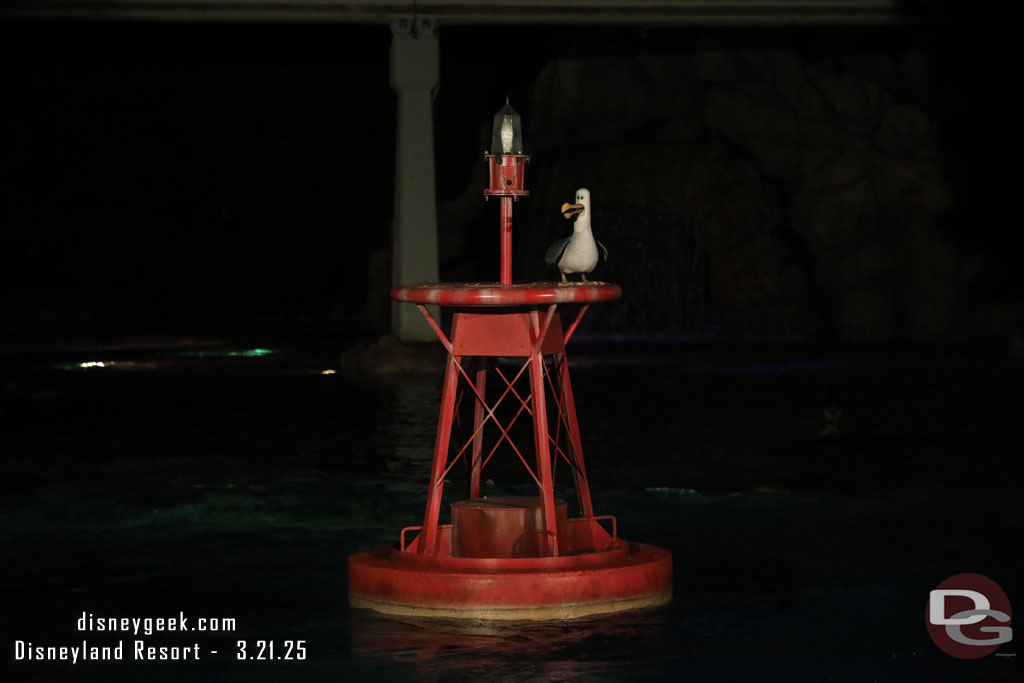 Only one seagull in the lagoon today.