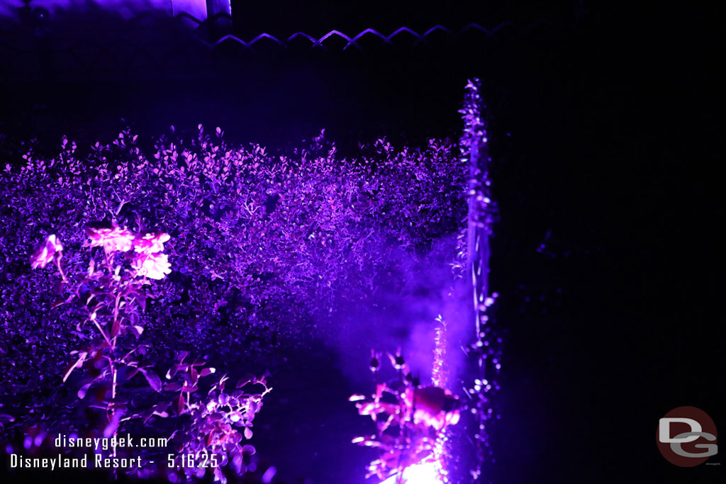 Fog is dispersed from the planters