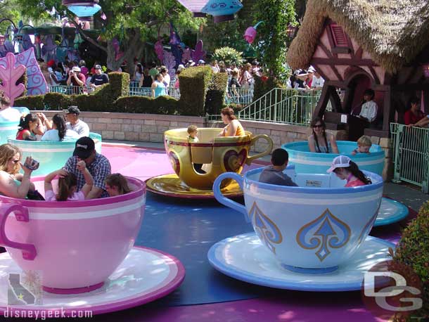 The Gold teacup in action