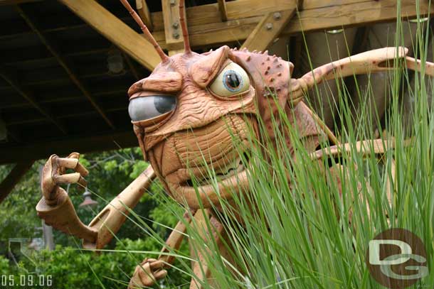 Hopper lurcking in the weeds