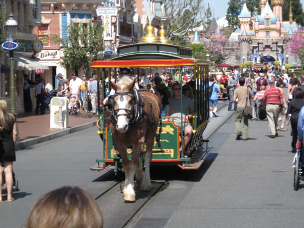 Horse carriage on Main Street