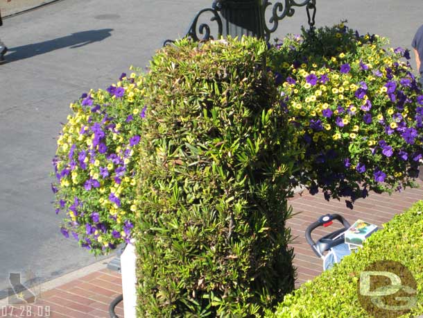 We close with a random shot of a plant along Main Street.