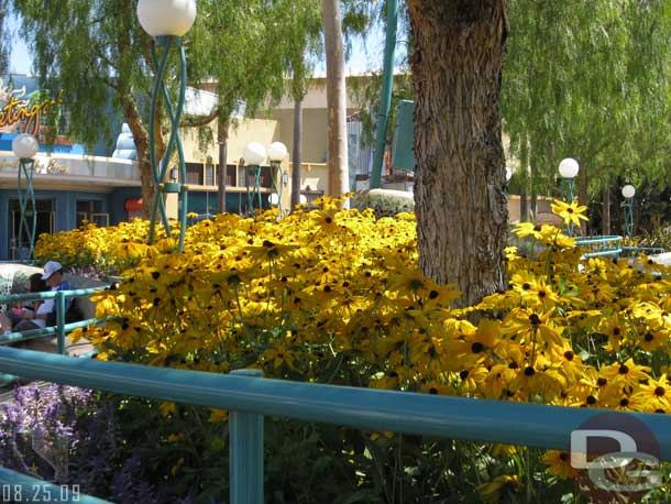 The flowers in the Sun Plaza are in bloom... fall (well end of summer) in Southern California