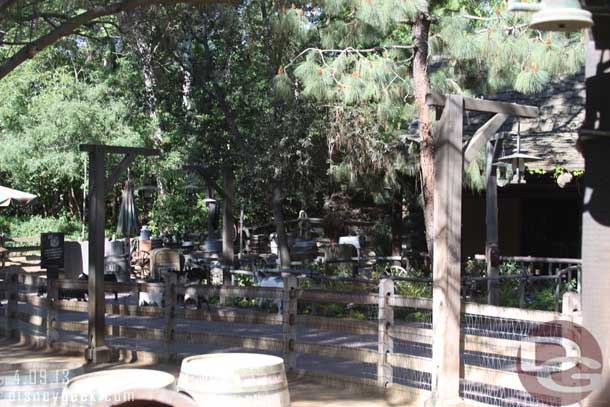 After the Buzz Price window dedication on Main Street headed out to the Big Thunder Ranch Jamboree.  Arrived as the goats were coming out for the day.