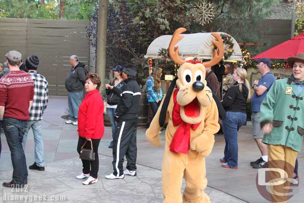 Pluto with his antlers on.