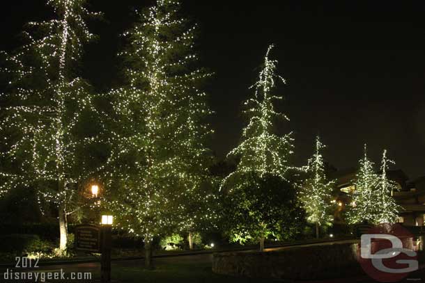 As you head up the driveway the pine trees all have lights.